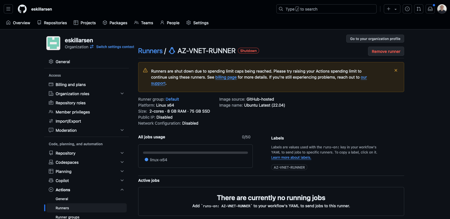 Runner shutdown due to spending limit caps